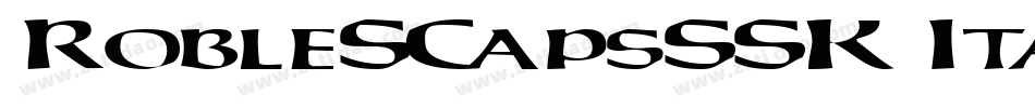 RobleSCapsSSK Italic字体转换